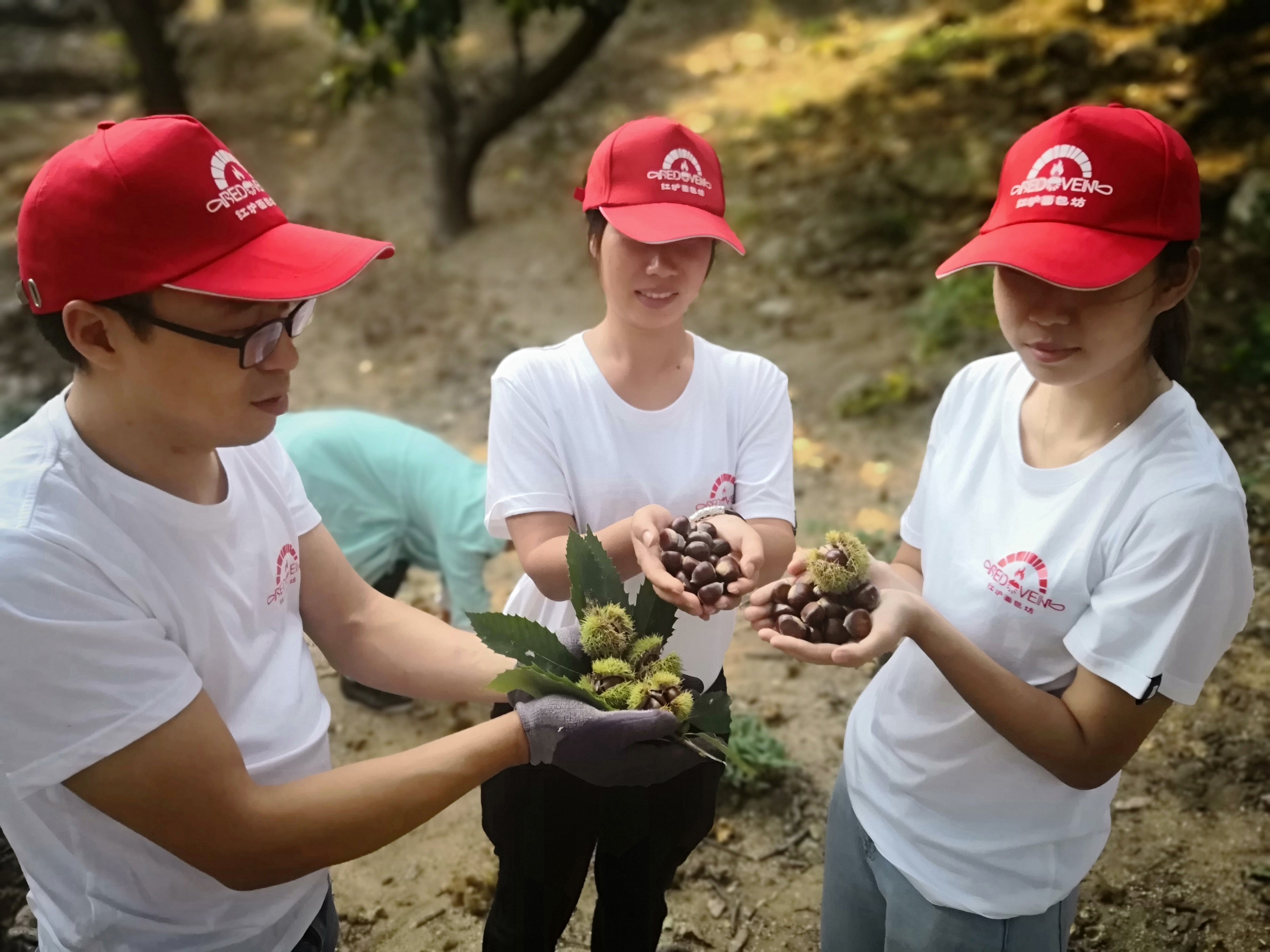 中秋佳节·红炉食品礼盒上市 - 图片2